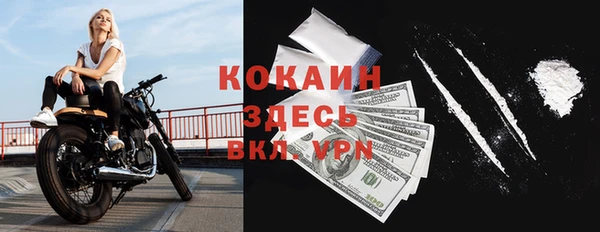 прущие грибы Баксан