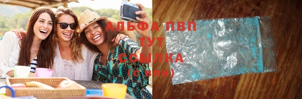 прущие грибы Баксан
