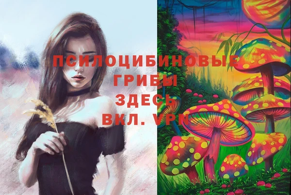 прущие грибы Баксан