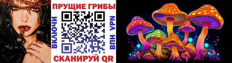 Псилоцибиновые грибы мицелий  Цивильск 